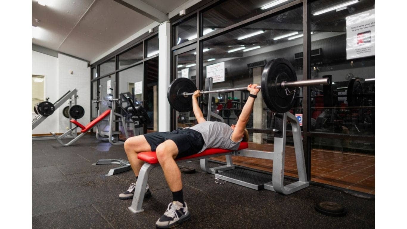 Is bench press enough for chest